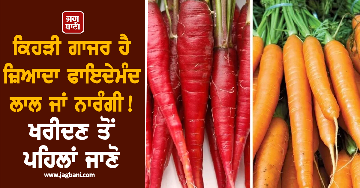 ਕਿਹੜੀ ਗਾਜਰ ਹੈ ਜ਼ਿਆਦਾ ਫਾਇਦੇਮੰਦ ਲਾਲ ਜਾਂ ਨਾਰੰਗੀ ! ਖਰੀਦਣ ਤੋਂ ਪਹਿਲਾਂ ਜਾਣੋ