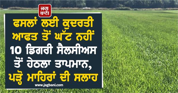 temperature below 10 degrees celsius is disaster for crops