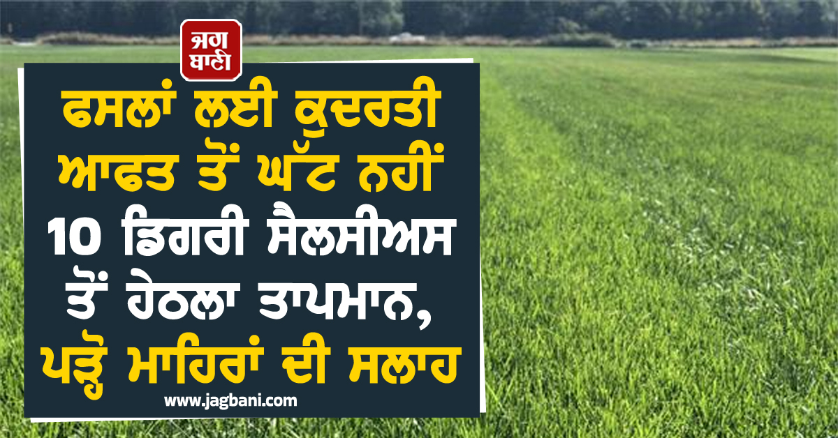 ਫਸਲਾਂ ਲਈ ਕੁਦਰਤੀ ਆਫਤ ਤੋਂ ਘੱਟ ਨਹੀਂ 10 ਡਿਗਰੀ ਸੈਲਸੀਅਸ ਤੋਂ ਹੇਠਲਾ ਤਾਪਮਾਨ, ਪੜ੍ਹੋ ਮਾਹਿਰਾਂ ਦੀ ਸਲਾਹ