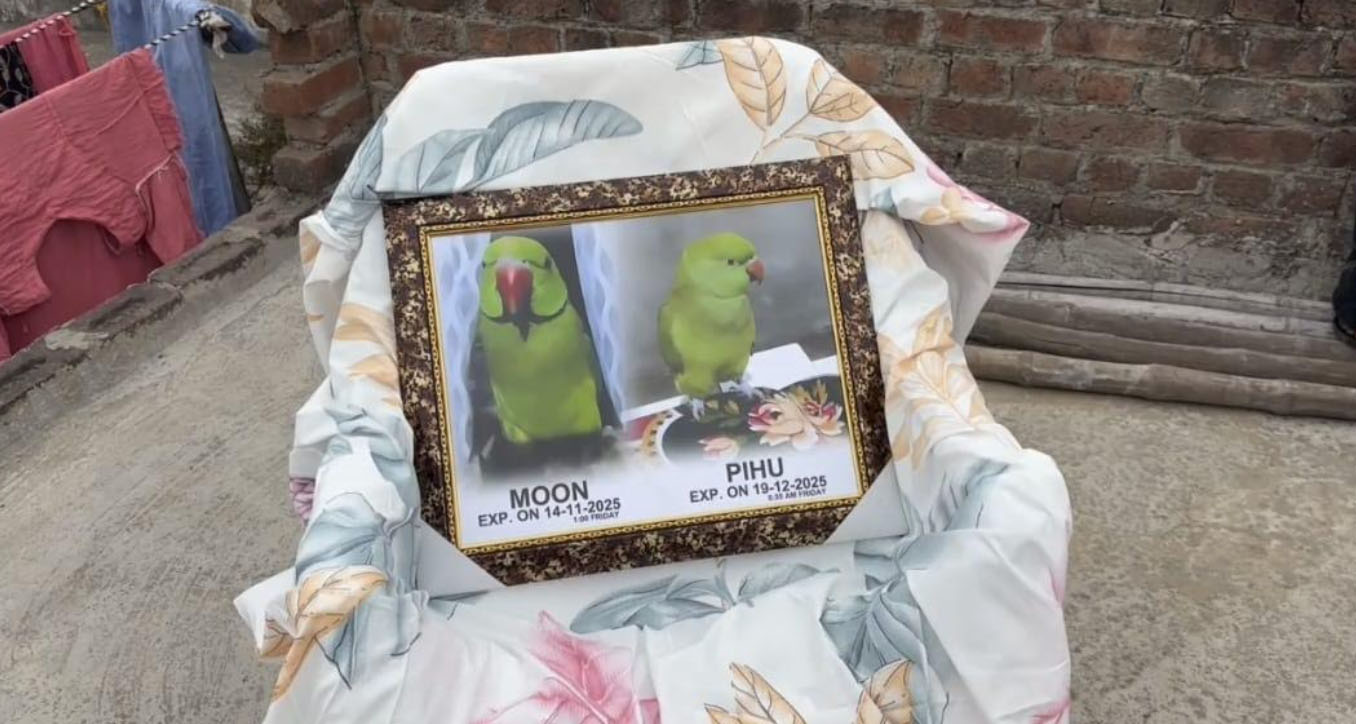 ਤੋਤਾ-ਤੋਤੀ ਦੀ ਆਤਮਿਕ ਸ਼ਾਂਤੀ ਲਈ ਕਰਵਾਇਆ ਪਾਠ, ਭੋਗ ''ਤੇ 300 ਬੰਦਿਆਂ ਨੇ ਛਕਿਆ ਲੰਗਰ