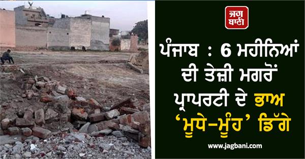 property prices investors