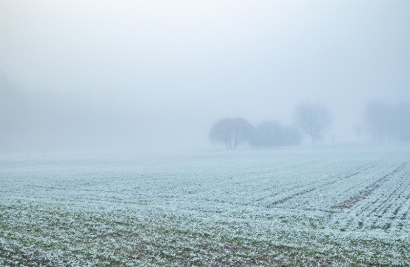 ਪੰਜਾਬ ਦੇ 13 ਜ਼ਿਲ੍ਹਿਆਂ ਲਈ Alert! ਮੌਸਮ ਵਿਭਾਗ ਵੱਲੋਂ 16 ਦਸੰਬਰ ਤੱਕ ਦੀ ਵੱਡੀ ਭਵਿੱਖਬਾਣੀ, ਪੜ੍ਹੋ ਤਾਜ਼ਾ ਅਪਡੇਟ