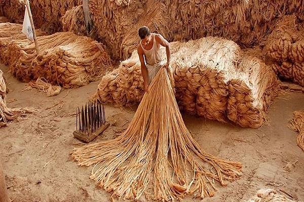 year 2025  crisis in the jute industry due to shortage