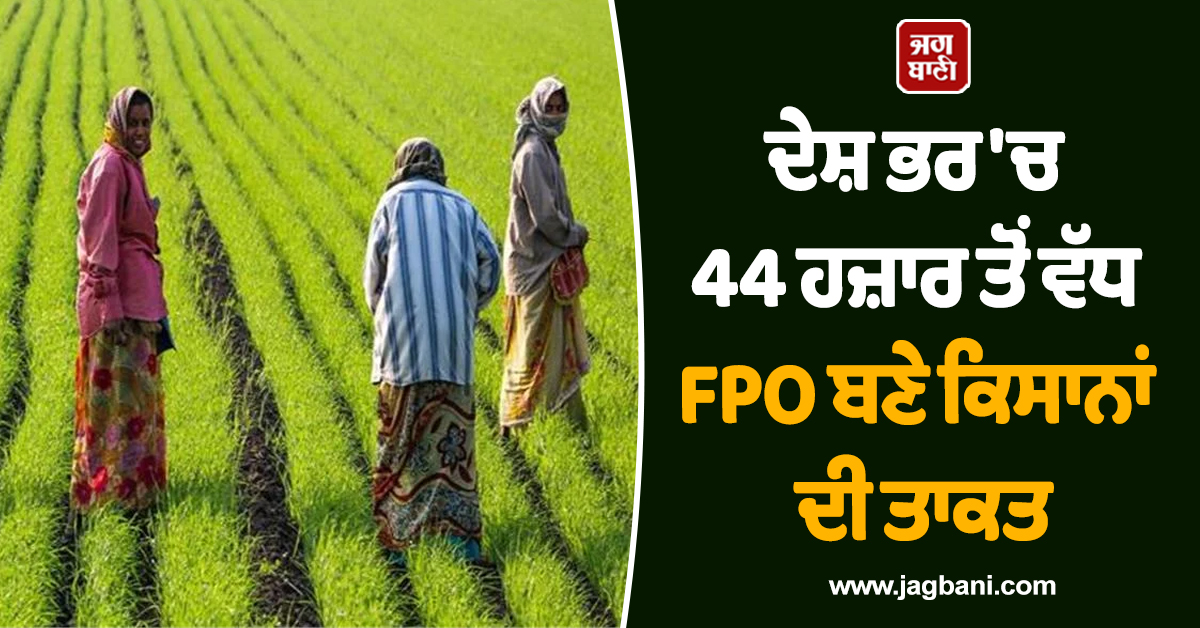 ਦੇਸ਼ ਭਰ 'ਚ 44 ਹਜ਼ਾਰ ਤੋਂ ਵੱਧ FPO ਬਣੇ ਕਿਸਾਨਾਂ ਦੀ ਤਾਕਤ, ਔਰਤਾਂ ਵੀ ਕਰ ਰਹੀਆਂ ਕਮਾਲ