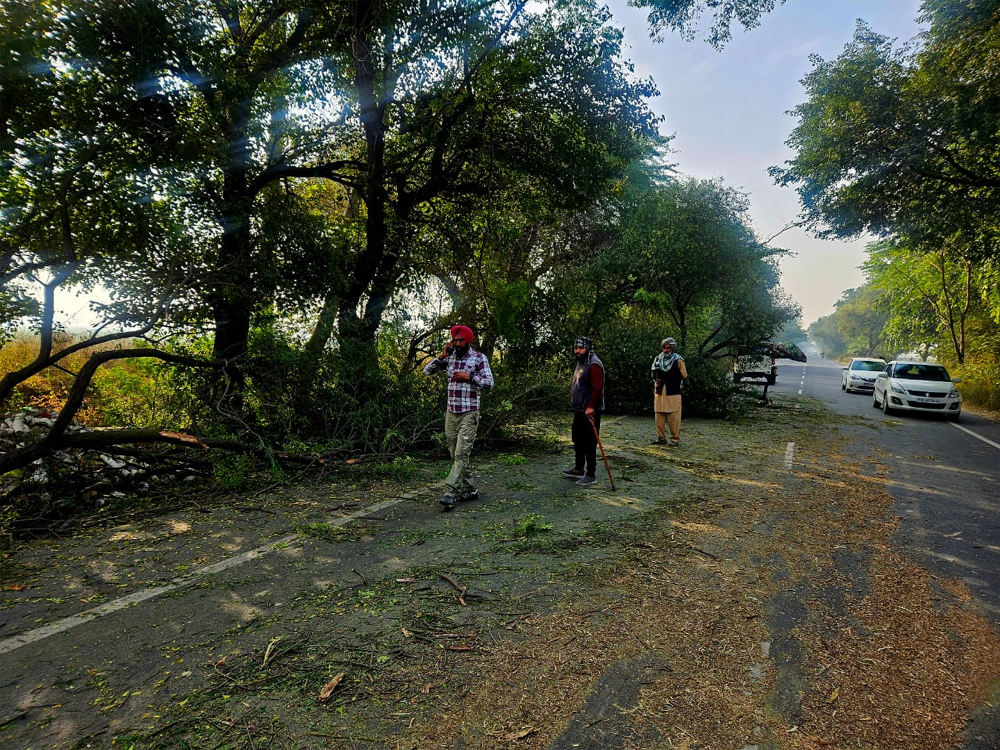 ਅੱਧੀ ਰਾਤ ਸੜਕ ''ਤੇ ਨੂੰ ਦਰੱਖ਼ਤ ਡਿੱਗਿਆ, ਕਈ ਵਾਹਨਾਂ ਨੂੰ ਨੁਕਸਾਨ, ਜੰਗਲਾਤ ਵਿਭਾਗ ਕੋਲ ਆਰਾ ਵੀ ਨਹੀਂ