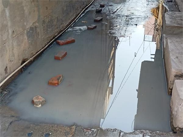 sewerage  officials  people