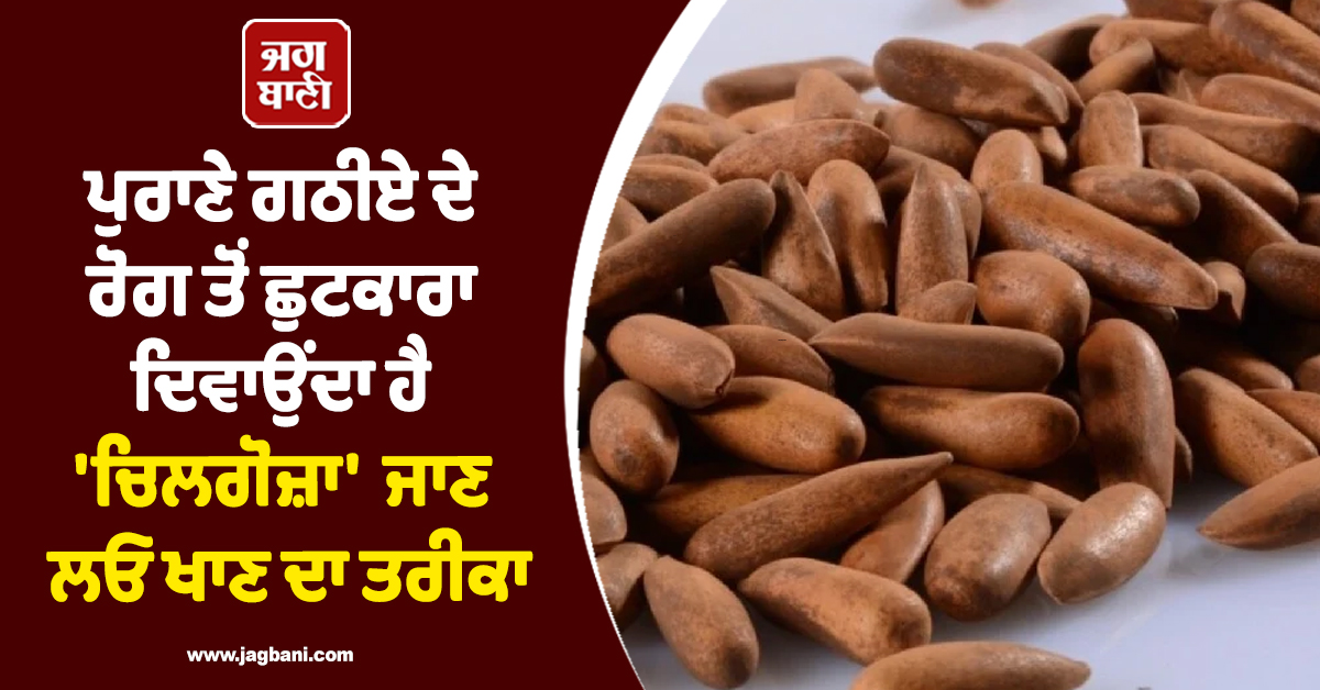 ਪੁਰਾਣੇ ਗਠੀਏ ਦੇ ਰੋਗ ਤੋਂ ਛੁਟਕਾਰਾ ਦਿਵਾਉਂਦਾ ਹੈ 'ਚਿਲਗੋਜ਼ਾ'  ਜਾਣ ਲਓ ਖਾਣ ਦਾ ਤਰੀਕਾ