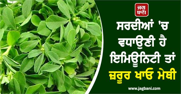 winter  fenugreek  immunity  benefits  health