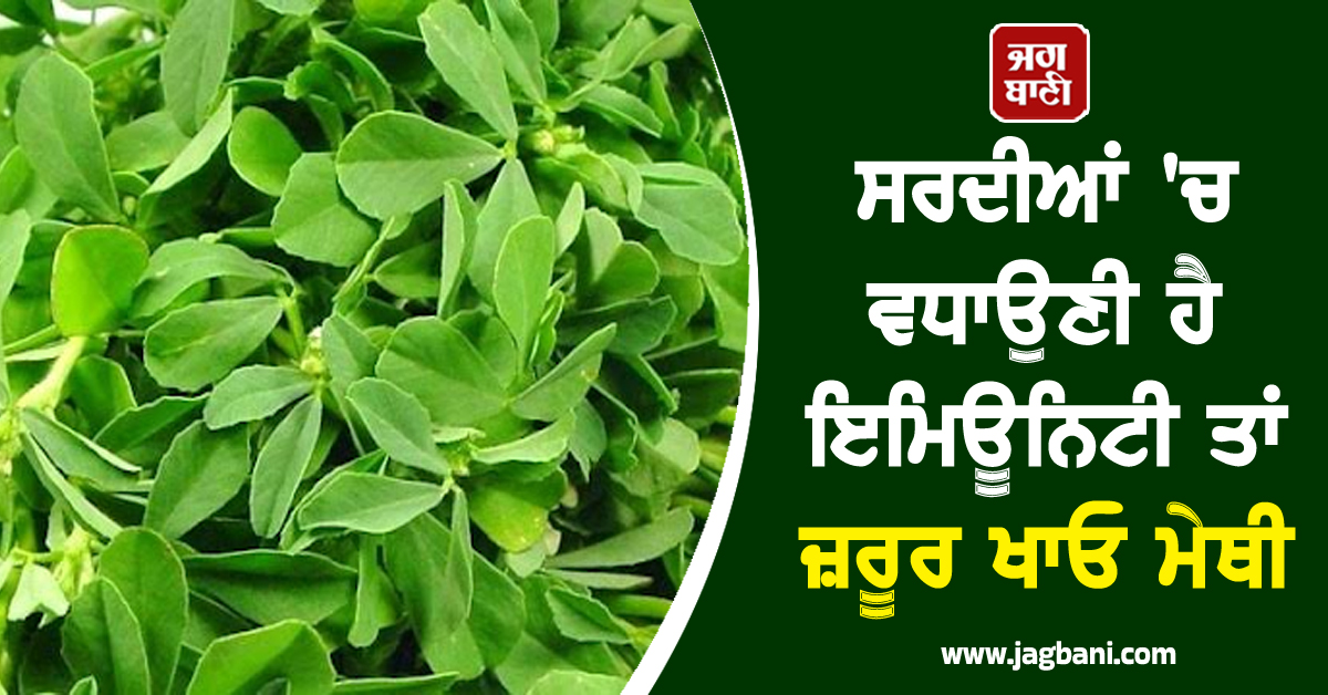 ਸਰਦੀਆਂ ''ਚ ਵਧਾਉਣੀ ਹੈ ਇਮਿਊਨਿਟੀ ਤਾਂ ਜ਼ਰੂਰ ਖਾਓ ਮੇਥੀ, ਮਿਲਦੇ ਨੇ ਹੈਰਾਨੀਜਨਕ ਫ਼ਾਇਦੇ