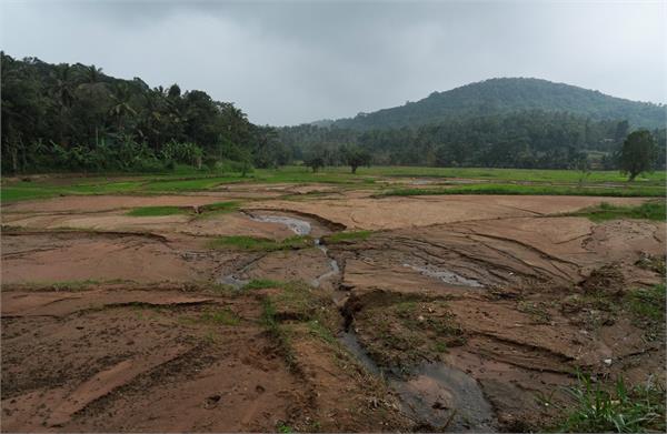 cyclone ditwa caused extensive damage to the agricultural sector