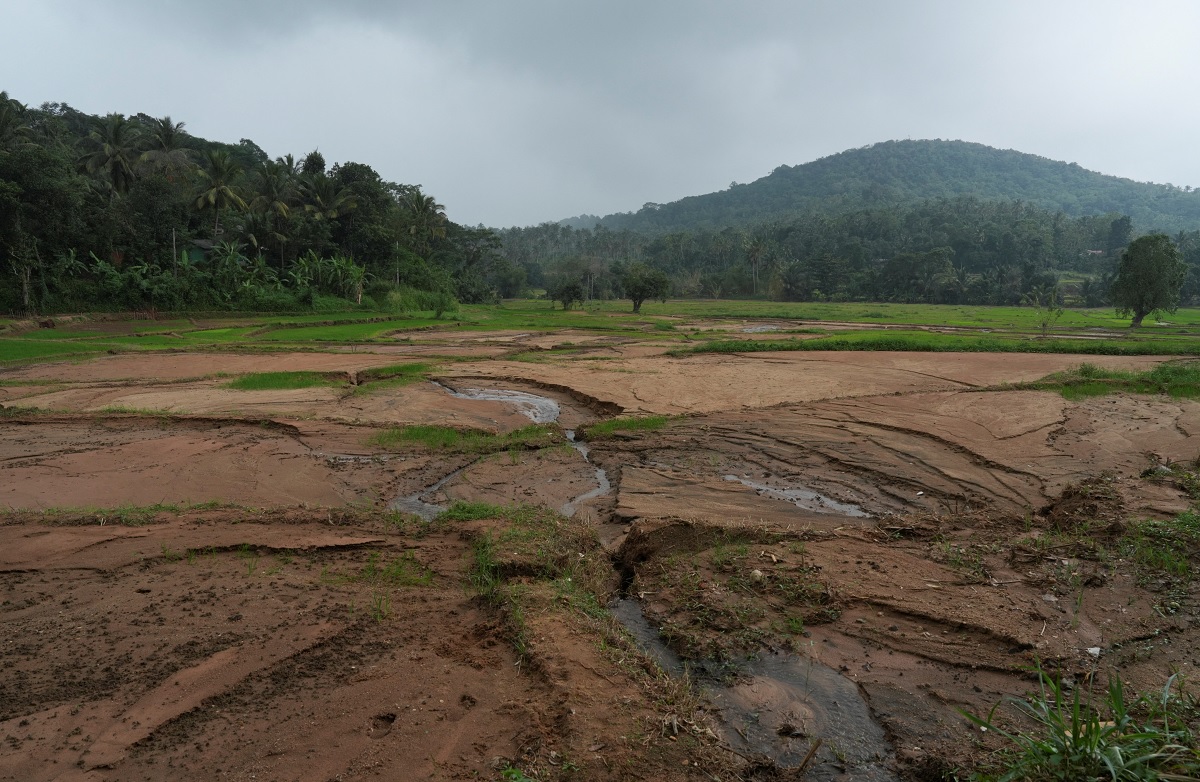ਚੱਕਰਵਾਤ ‘ਦਿਤਵਾ’ ਨਾਲ ਸ੍ਰੀਲੰਕਾ ਦੇ ਖੇਤੀਬਾੜੀ ਖੇਤਰ ਨੂੰ ਹੋਇਆ ਭਾਰੀ ਨੁਕਸਾਨ: ਐੱਫ਼ਏਓ