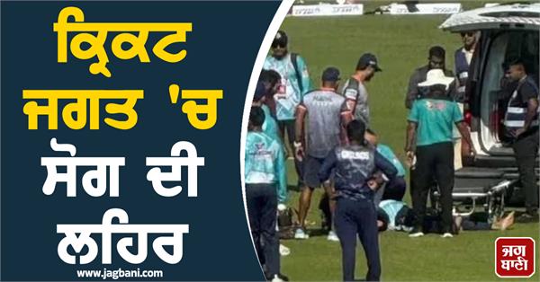 cricket world plunges