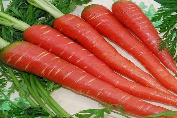 carrots  health  harm