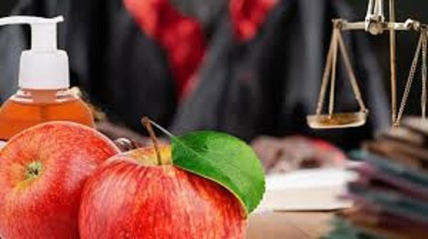 pakistan police register fir over theft of apples from judge  s chamber