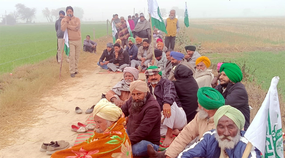 ਨਗਰ ਕੌਂਸਲ ਵੱਲੋਂ 25 ਕਨਾਲ 19 ਮਰਲੇ ''ਤੇ ਲਿਆ ਜਾਣਾ ਸੀ ਕਬਜ਼ਾ, ਮੌਕੇ ''ਤੇ ਅਧਿਕਾਰੀ ਨਹੀਂ ਪਹੁੰਚੇ