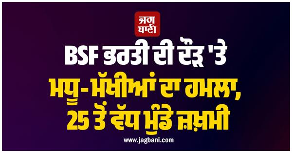 bees attack candidates during bsf recruitment