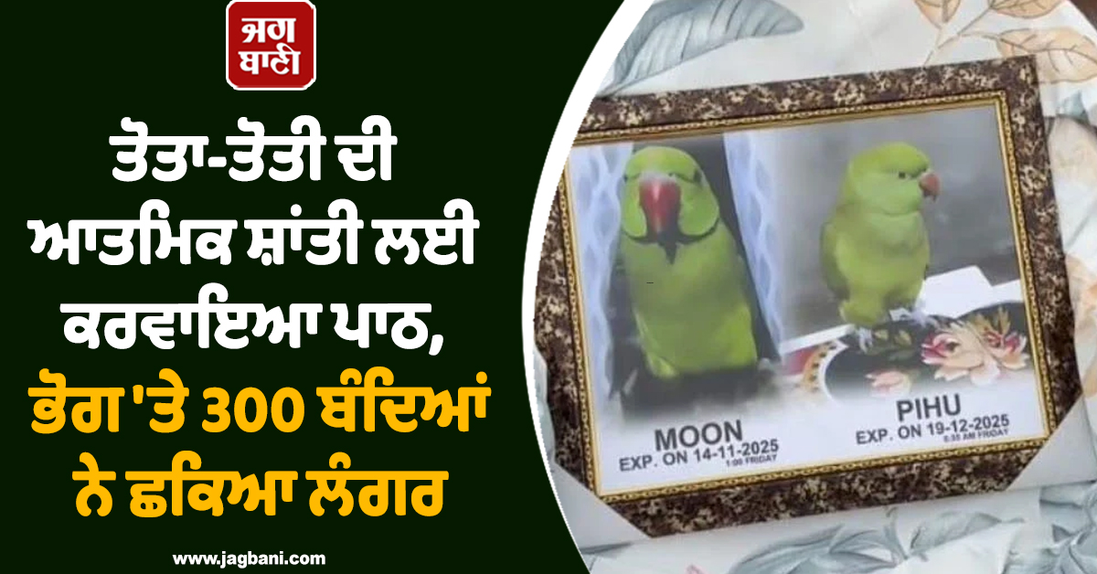 ਤੋਤਾ-ਤੋਤੀ ਦੀ ਆਤਮਿਕ ਸ਼ਾਂਤੀ ਲਈ ਕਰਵਾਇਆ ਪਾਠ, ਭੋਗ 'ਤੇ 300 ਬੰਦਿਆਂ ਨੇ ਛਕਿਆ ਲੰਗਰ