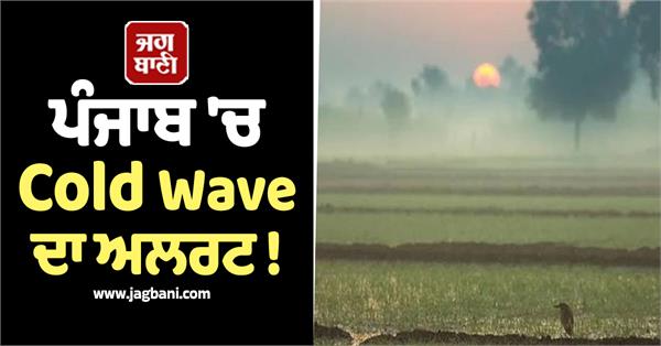 weather department big prediction cold wave alert punjab till december 11