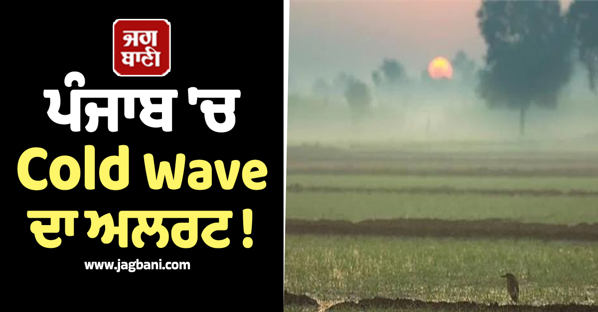 ਪੰਜਾਬ 'ਚ Cold Wave ਦਾ ਅਲਰਟ! ਮੌਸਮ ਵਿਭਾਗ ਨੇ 11 ਦਸੰਬਰ ਤੱਕ ਕਰ 'ਤੀ ਵੱਡੀ ਭਵਿੱਖਬਾਣੀ