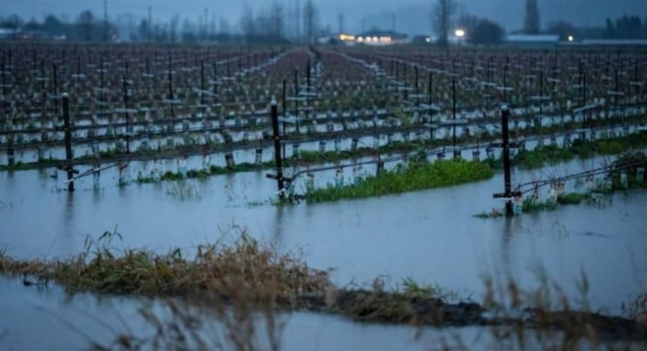 ਬ੍ਰਿਟਿਸ਼ ਕੋਲੰਬੀਆ ਦੇ ਪਹਾੜੀ ਖੇਤਰਾਂ ''ਚ ਹੜ੍ਹ ਦਾ ਖਤਰਾ, ਸੈਂਕੜੇ ਪਰਿਵਾਰਾਂ ਨੂੰ ਘਰ ਛੱਡਣ ਦੇ ਹੁਕਮ