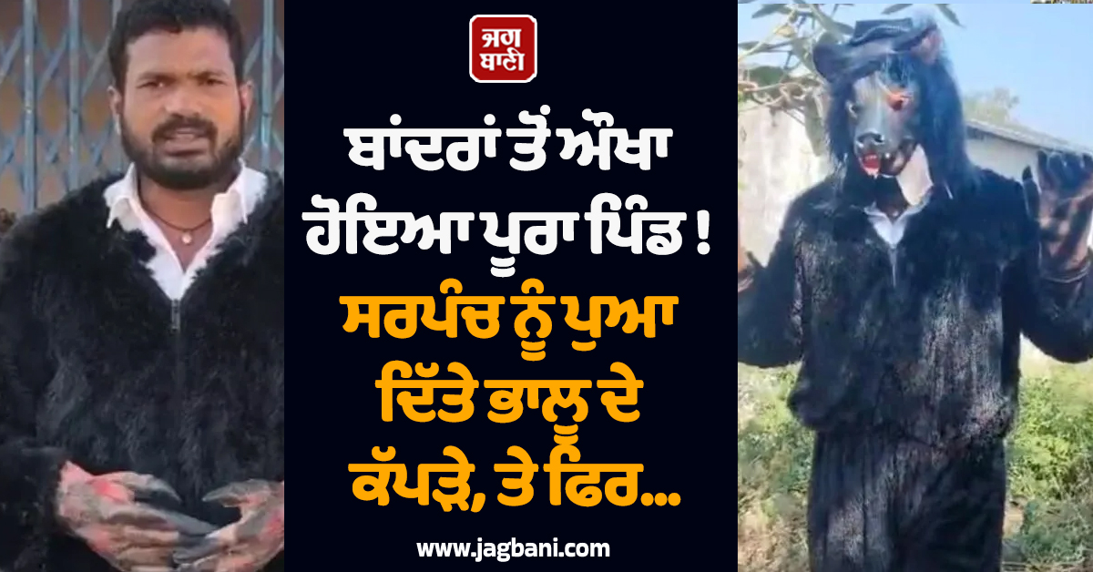 ਬਾਂਦਰਾਂ ਤੋਂ ਔਖਾ ਹੋਇਆ ਪੂਰਾ ਪਿੰਡ ! ਸਰਪੰਚ ਨੂੰ ਪੁਆ ਦਿੱਤੇ ਭਾਲੂ ਦੇ ਕੱਪੜੇ, ਤੇ ਫਿਰ...