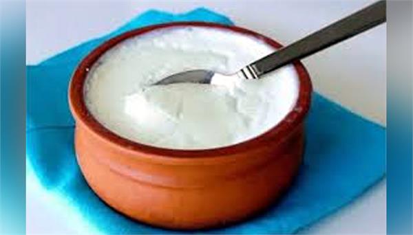 verka double tone curd sample fails