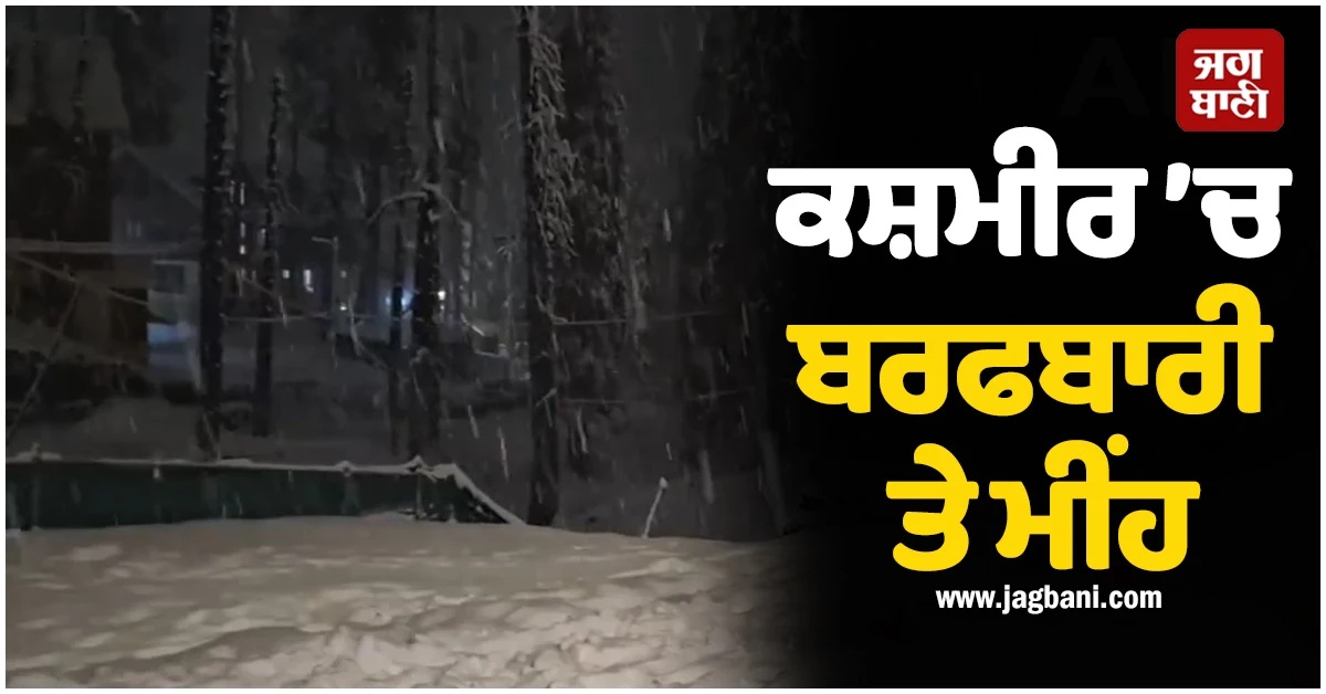 ਕਸ਼ਮੀਰ ’ਚ ਬਰਫਬਾਰੀ ਤੇ ਮੀਂਹ ਜਾਰੀ, ਉੱਤਰ ਭਾਰਤ ’ਚ ਧੁੰਦ ਦਾ ਕਹਿਰ (Video)