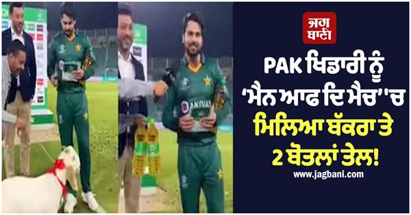 pakistan cricketer awarded goat