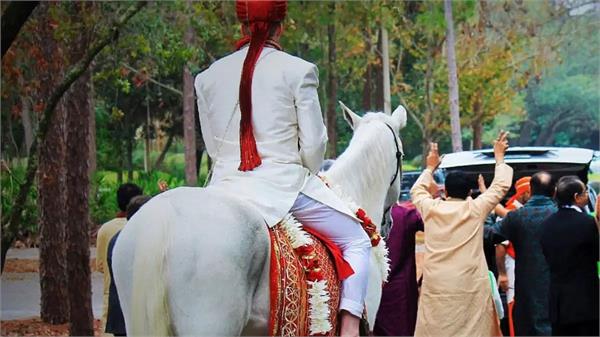 medical report  marriage  groom  bride