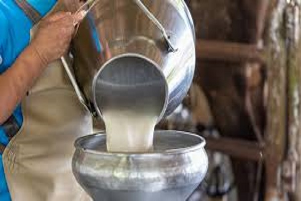 ਬੇਜ਼ੁਬਾਨ ਪਸ਼ੂਆਂ ’ਤੇ ਵੀ ਪਈ ਹੜ੍ਹਾਂ ਦੀ ਵੱਡੀ ਮਾਰ , ਦੁੱਧ ਉਤਪਾਦਨ ’ਚ 20 ਫੀਸਦੀ ਗਿਰਾਵਟ