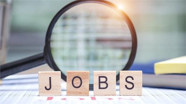 government jobs  haryana  youth