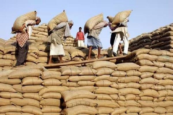 faridkot  markets  farmers  wheat