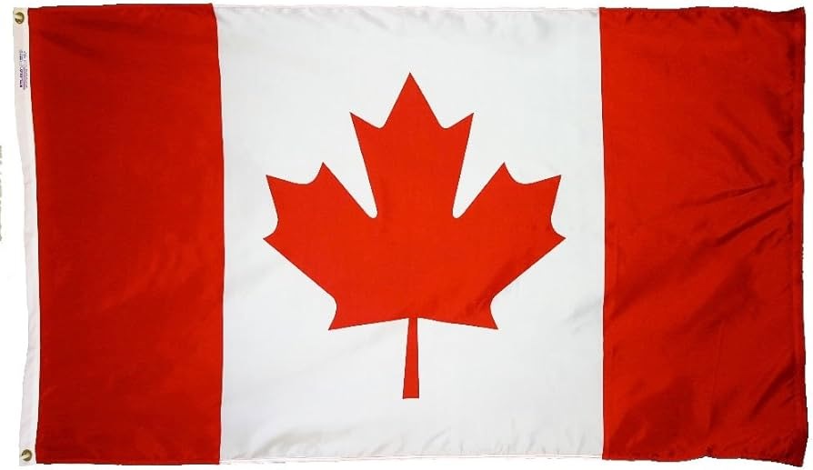 ਆਪਣੀ ਵਿਦੇਸ਼ ਨੀਤੀ ਦੇ ਇਕ ਮਹੱਤਵਪੂਰਨ ਮੋੜ ’ਤੇ ਹੈ ਕੈਨੇਡਾ