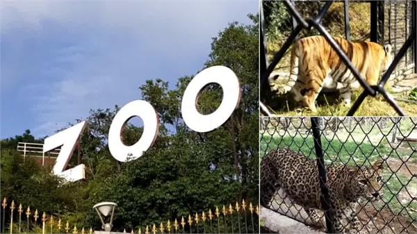 bird flu  two days  closed  vandalur zoo