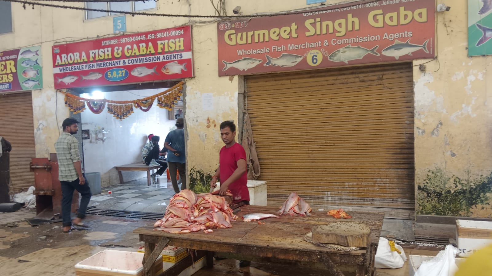 ਮੱਛੀ ਮੰਡੀ ’ਚ ਵਧ-ਫੁੱਲ ਰਿਹੈ ਪਾਬੰਦੀਸ਼ੁਦਾ ਮੰਗੂਰ ਮੱਛੀ ਦਾ ਕਾਰੋਬਾਰ! ਛਾਪੇਮਾਰੀ ਤੋਂ ਪਹਿਲਾਂ ਹੀ ਹੋ ਜਾਂਦੀ ਹੈ ਜਾਣਕਾਰੀ