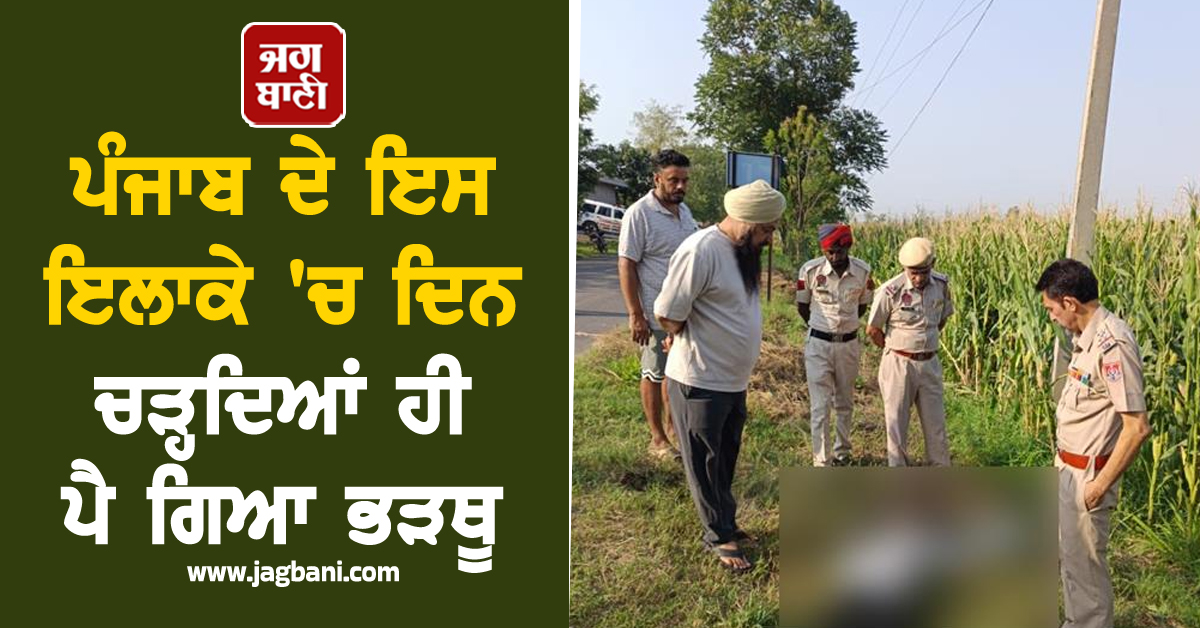ਪੰਜਾਬ ਦੇ ਇਸ ਇਲਾਕੇ ''ਚ ਦਿਨ ਚੜ੍ਹਦਿਆਂ ਹੀ ਪੈ ਗਿਆ ਭੜਥੂ, ਖੇਤਾਂ ''ਚ ਅਜਿਹਾ ਹਾਲ ਵੇਖ ਸਹਿਮੇ ਲੋਕ
