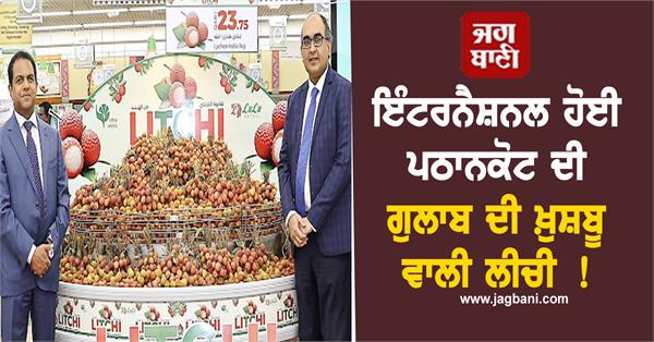 pathankot litchi consignment qatar
