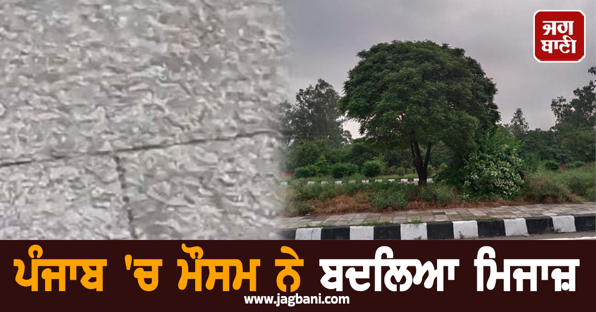 ਪੰਜਾਬ 'ਚ ਮੌਸਮ ਨੇ ਬਦਲਿਆ ਮਿਜਾਜ਼, ਮੀਂਹ ਨਾਲ ਮੌਸਮ ਹੋਇਆ ਸੁਹਾਵਣਾ, ਜਾਣੋ ਅਗਲੇ ਦਿਨਾਂ ਦਾ ਹਾਲ