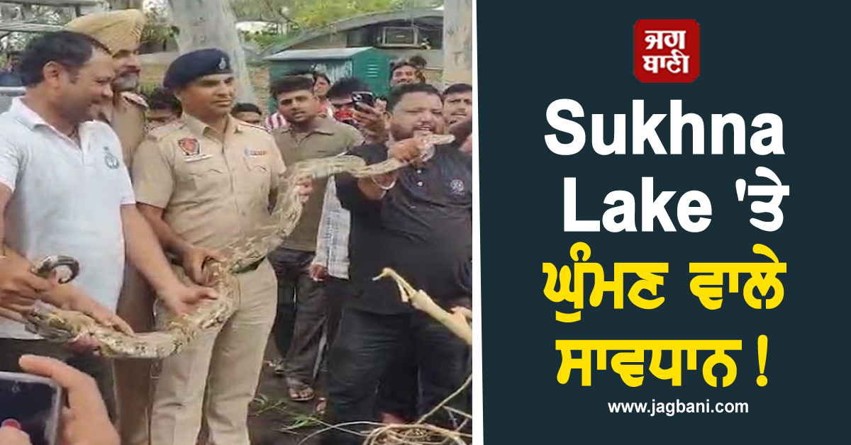 Sukhna Lake 'ਤੇ ਘੁੰਮਣ ਵਾਲੇ ਸਾਵਧਾਨ! ਇਹ ਵੀਡੀਓ ਦੇਖ ਦਹਿਲ ਜਾਵੇਗਾ ਦਿਲ