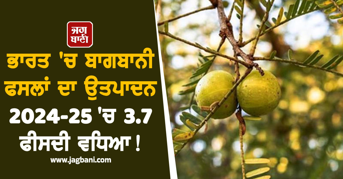 ਭਾਰਤ 'ਚ ਬਾਗਬਾਨੀ ਫਸਲਾਂ ਦਾ ਉਤਪਾਦਨ 2024-25 'ਚ 3.7 ਫੀਸਦੀ ਵਧਿਆ !