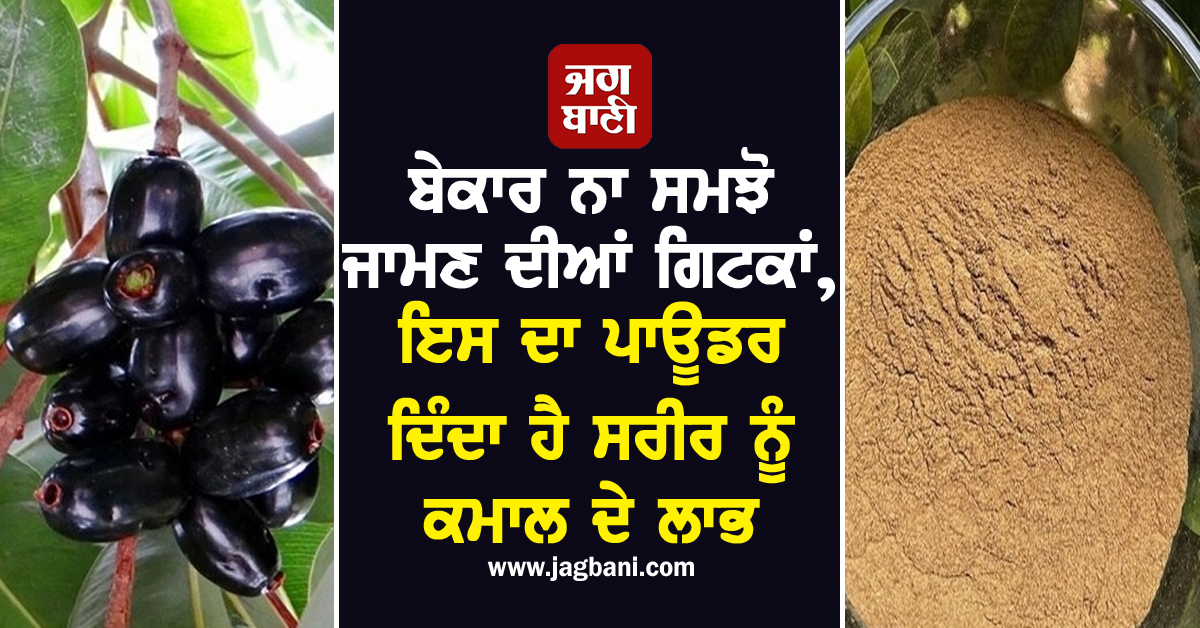 ਬੇਕਾਰ ਨਾ ਸਮਝੋ ਜਾਮਣ ਦੀਆਂ ਗਿਟਕਾਂ, ਇਸ ਦਾ ਪਾਊਡਰ ਦਿੰਦਾ ਹੈ ਸਰੀਰ ਨੂੰ ਕਮਾਲ ਦੇ ਲਾਭ