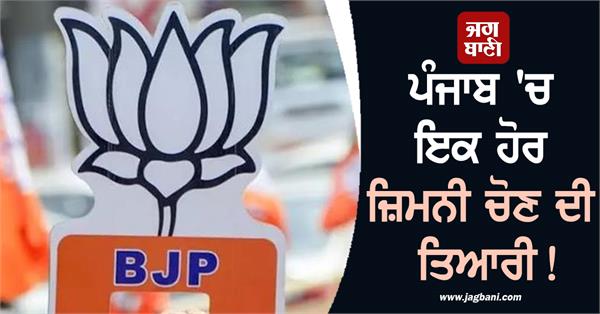 punjab by election