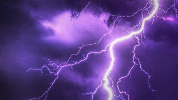 trees lightning