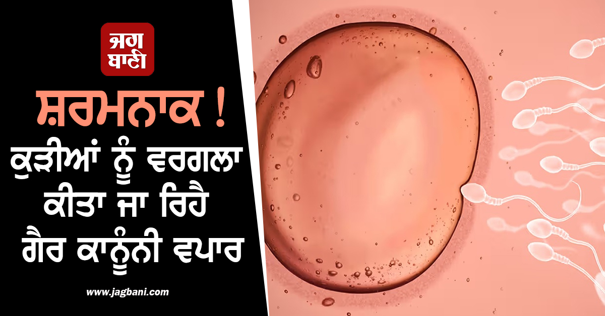 ਸ਼ਰਮਨਾਕ! ਕੁੜੀਆਂ ਨੂੰ ਵਰਗਲਾ ਕੀਤਾ ਜਾ ਰਿਹੈ ਇਹ ਗੈਰ ਕਾਨੂੰਨੀ ਵਪਾਰ
