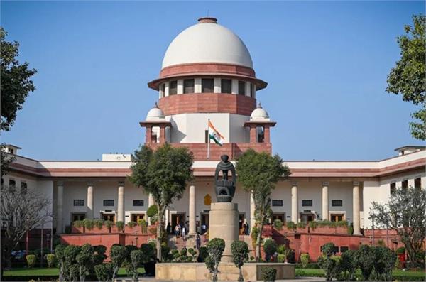 supreme court dogs food house