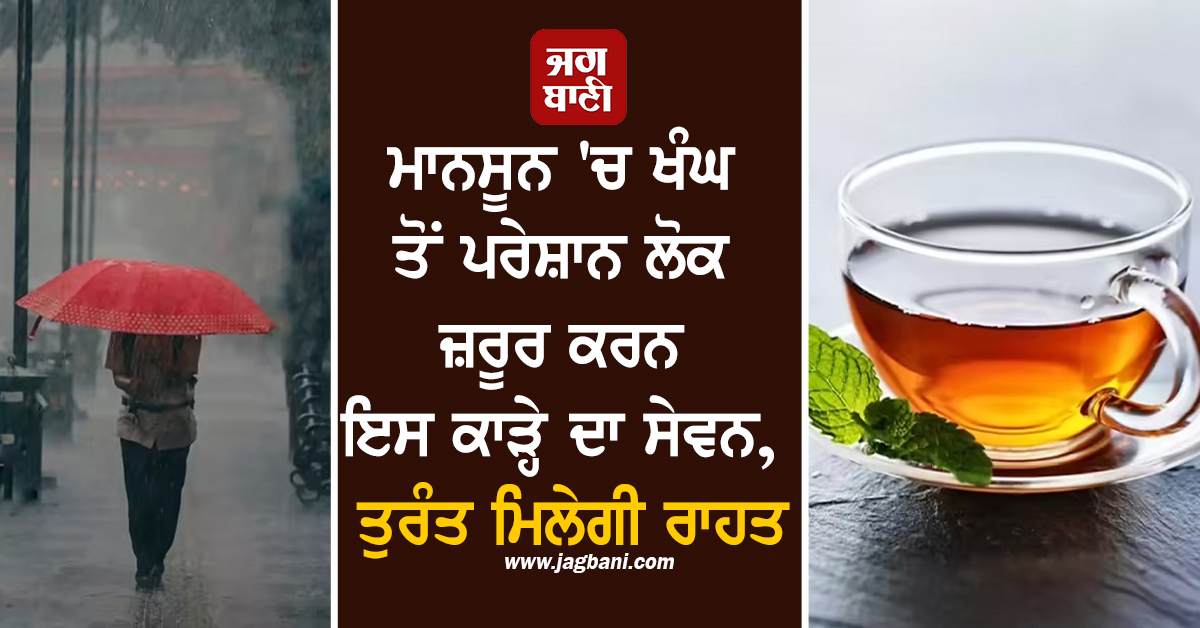 ਮਾਨਸੂਨ 'ਚ ਖੰਘ ਤੋਂ ਪਰੇਸ਼ਾਨ ਲੋਕ ਜ਼ਰੂਰ ਕਰਨ ਇਸ ਕਾੜ੍ਹੇ ਦਾ ਸੇਵਨ, ਤੁਰੰਤ ਮਿਲੇਗੀ ਰਾਹਤ