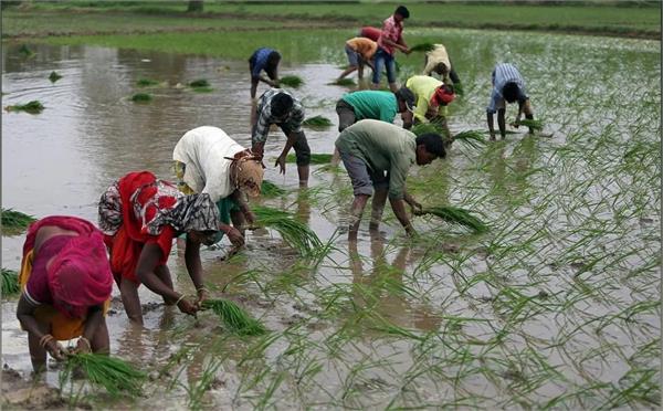kharif season crop sowing 4 percent