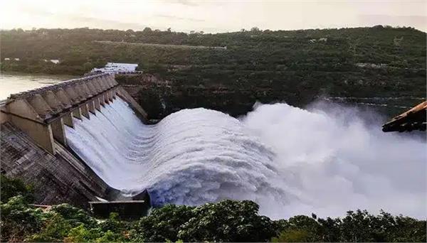 punjab dam water level