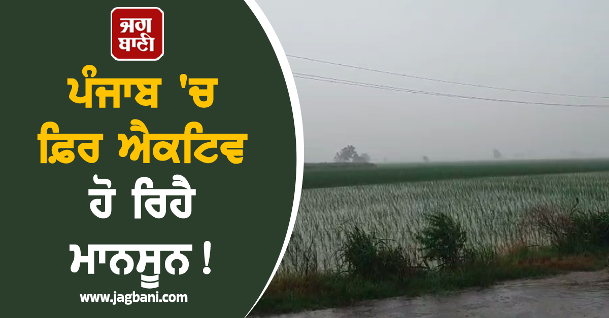 ਪੰਜਾਬ 'ਚ ਫ਼ਿਰ ਐਕਟਿਵ ਹੋ ਰਿਹੈ ਮਾਨਸੂਨ! ਇਨ੍ਹਾਂ ਜ਼ਿਲ੍ਹਿਆਂ 'ਚ ਪਵੇਗਾ ਮੋਹਲੇਧਾਰ ਮੀਂਹ