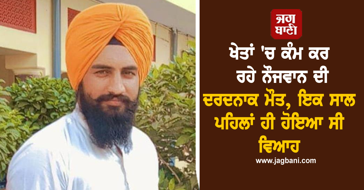 ਖੇਤਾਂ 'ਚ ਕੰਮ ਕਰ ਰਹੇ ਨੌਜਵਾਨ ਦੀ ਦਰਦਨਾਕ ਮੌਤ, ਇਕ ਸਾਲ ਪਹਿਲਾਂ ਹੀ ਹੋਇਆ ਸੀ ਵਿਆਹ